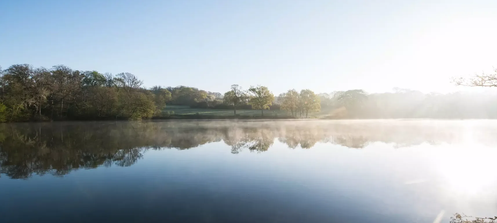 A misty pond at sunrise